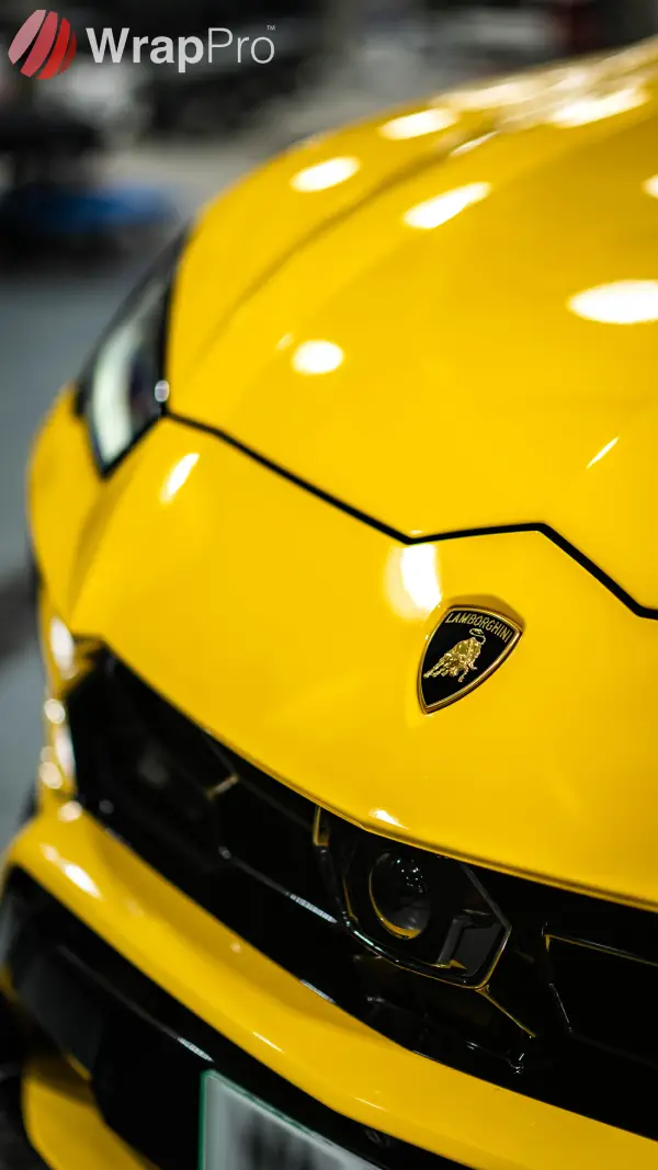 Lamborghini Urus Gloss PPF